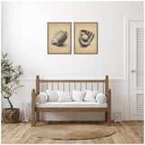 Two framed vintage-style canvases above a wooden bench: one featuring a classic football, the other a baseball glove holding a ball, in sepia tones.