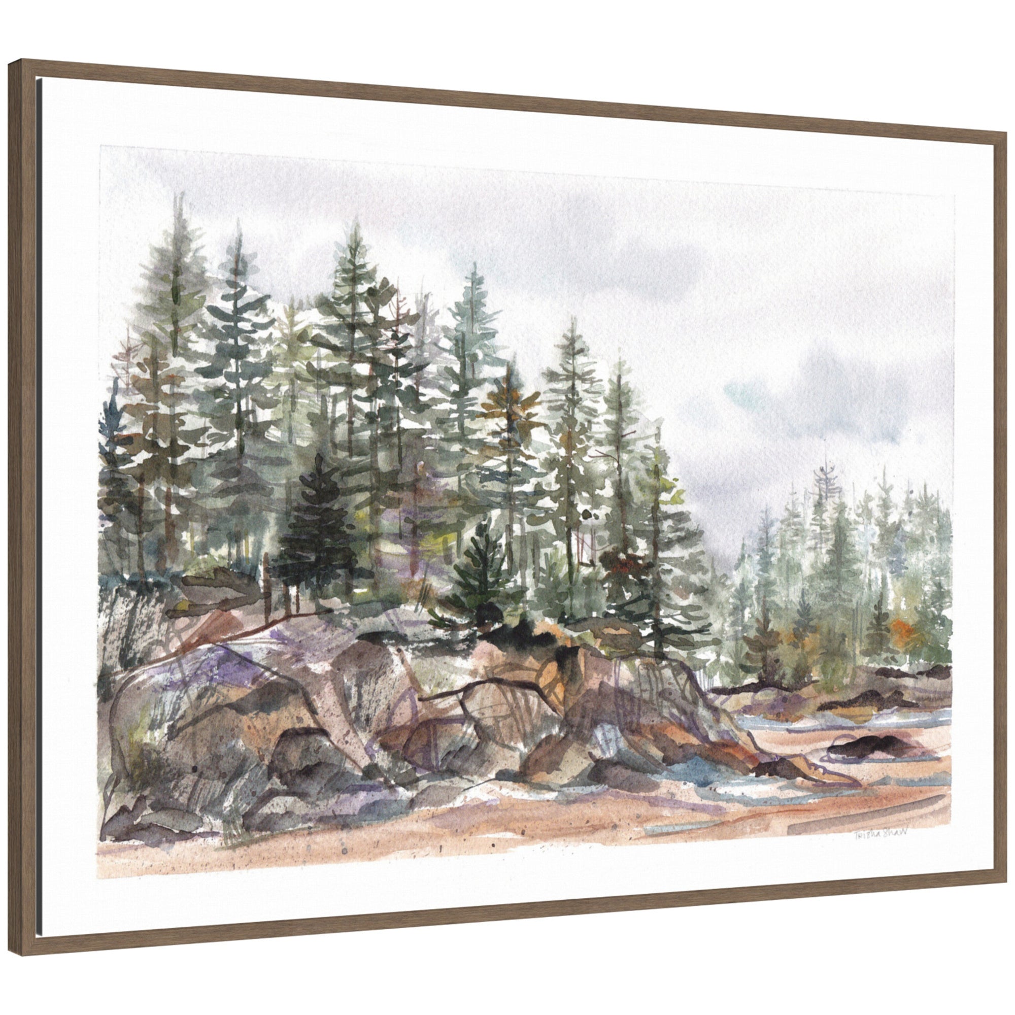 Framed canvas art depicting pine trees on rocky coast with mist, by Patricia Shaw