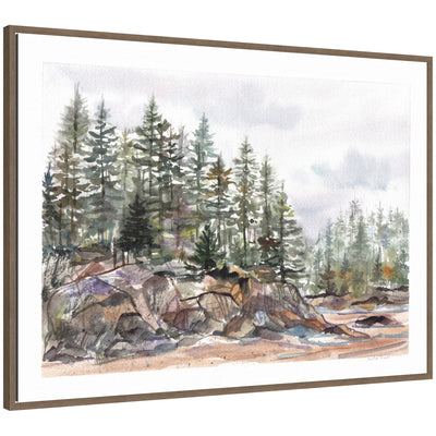 Framed canvas art depicting pine trees on rocky coast with mist, by Patricia Shaw