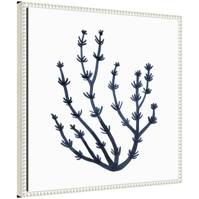 Framed canvas art titled Sylvie Coastal Coral Seaweed Botanical 6 showing abstract coral and seaweed forms with a vintage beaded frame