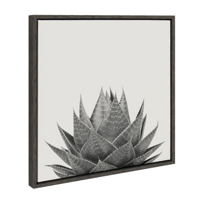 Sylvie Haze Aloe Succulent Framed Canvas by The Creative Bunch Studio by kateandlaurel - product image 11 for Resin Society