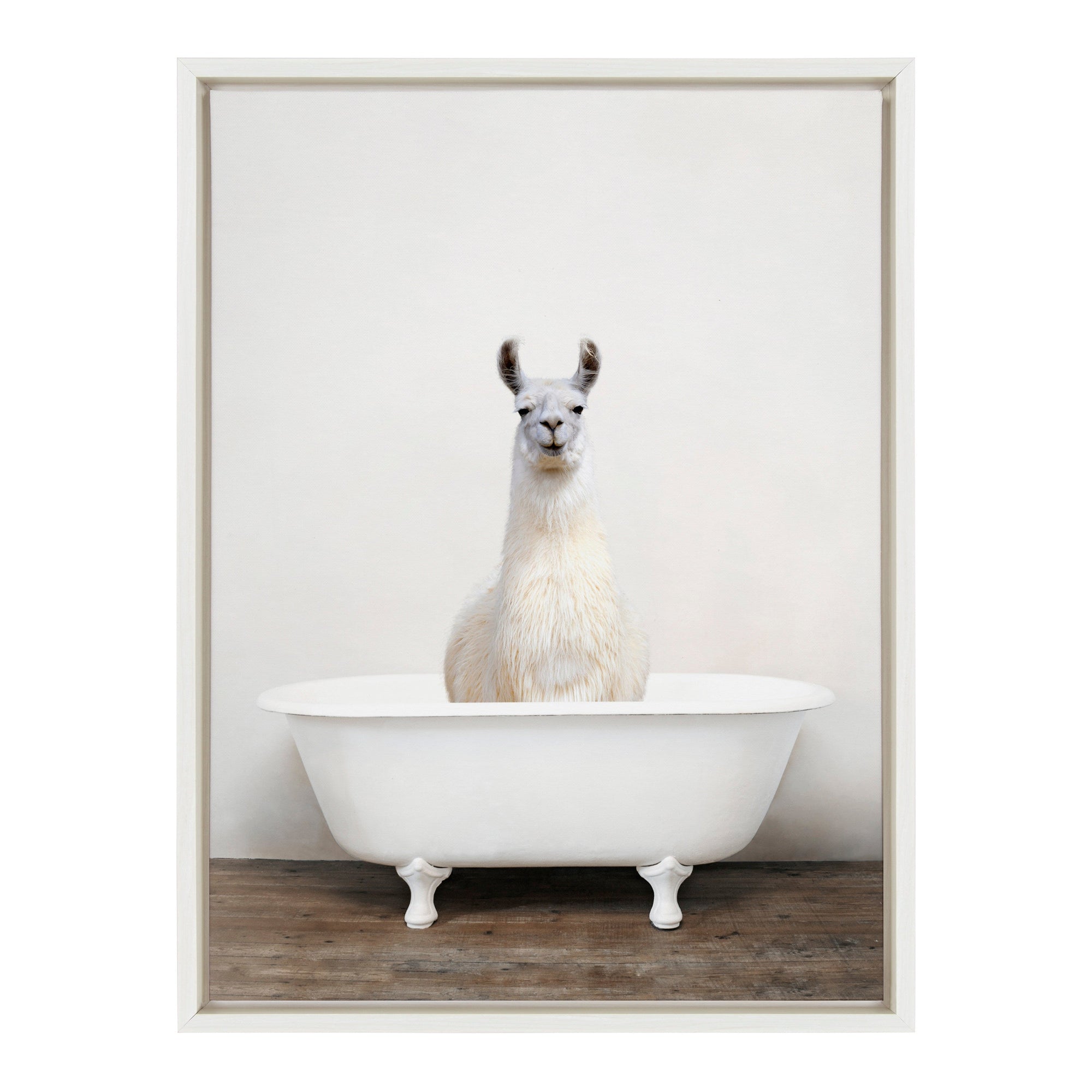 Sylvie Alpaca in the Tub Color Framed Canvas by kateandlaurel - product image 10 for Resin Society