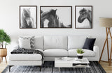 Sylvie Noble BW Framed Canvas by kateandlaurel - product image 5 for Resin Society