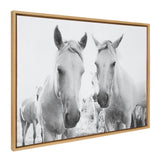 Sylvie Camargue Horse XVII BW Framed Canvas by Laura Evans by kateandlaurel - product image 2 for Resin Society