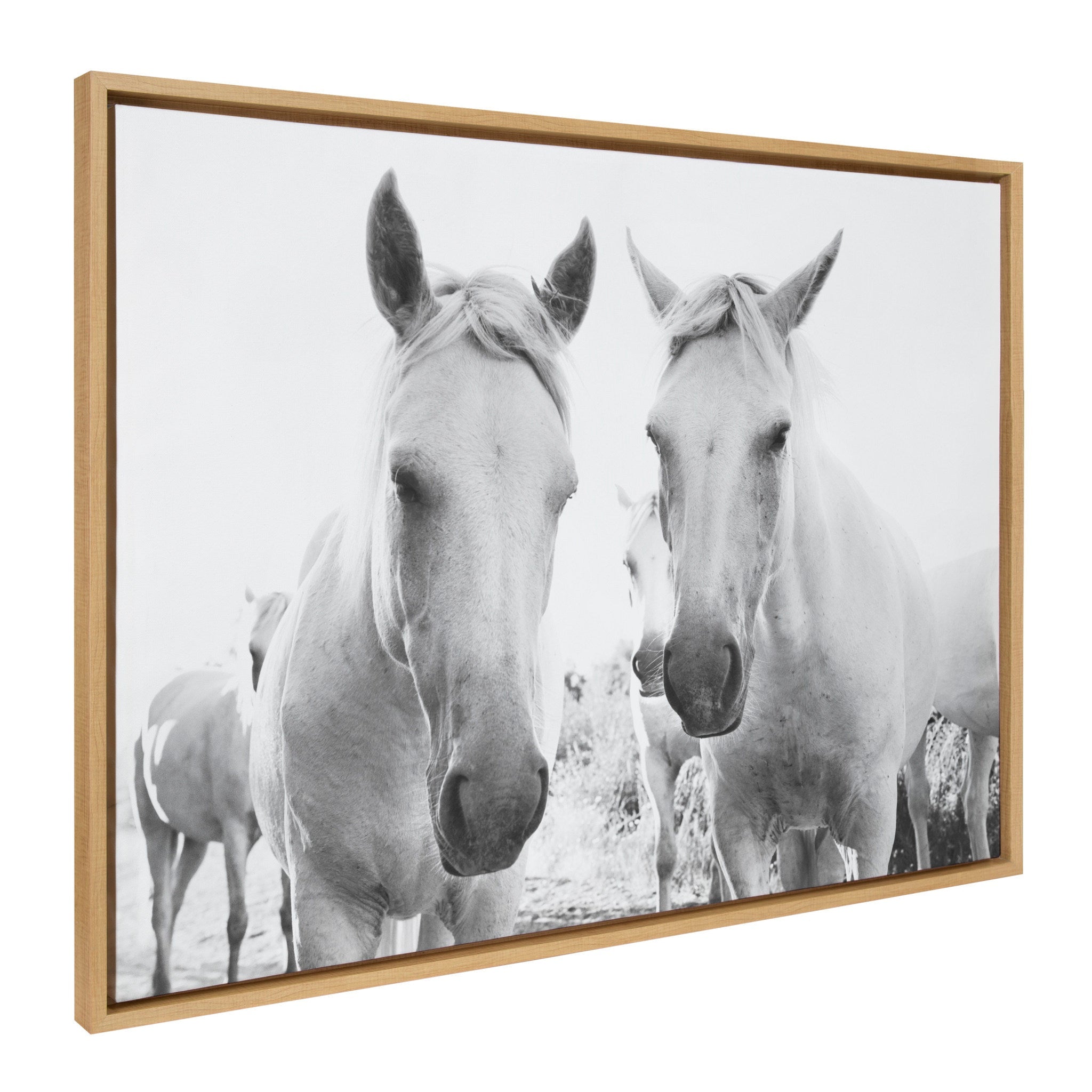 Sylvie Camargue Horse XVII BW Framed Canvas by Laura Evans by kateandlaurel - product image 2 for Resin Society