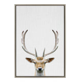 Framed canvas print featuring a symmetric close-up of a deer's head with tall antlers against a textured white background.