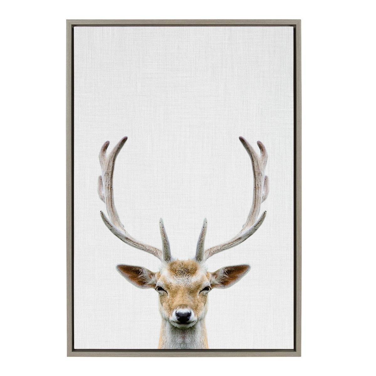 Framed canvas print featuring a symmetric close-up of a deer's head with tall antlers against a textured white background.