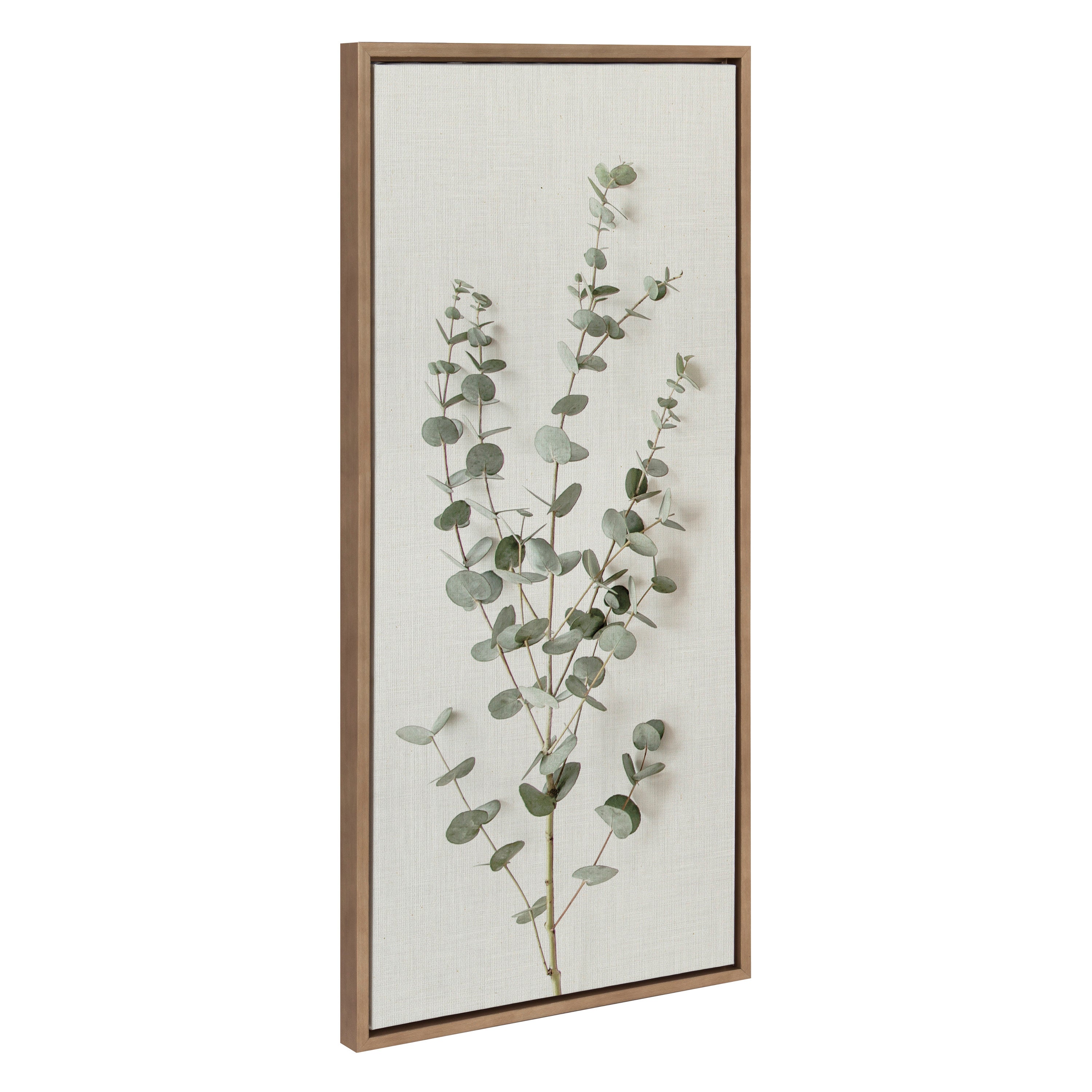 Sylvie Eucalyptus Botanical I Framed Canvas by The Creative Bunch Studio by kateandlaurel - product image 7 for Resin Society