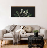White dog with brown spots lying on a light gray sofa with a textured beige throw and round cushion, beneath a rectangular framed canvas of a succulent on black background.