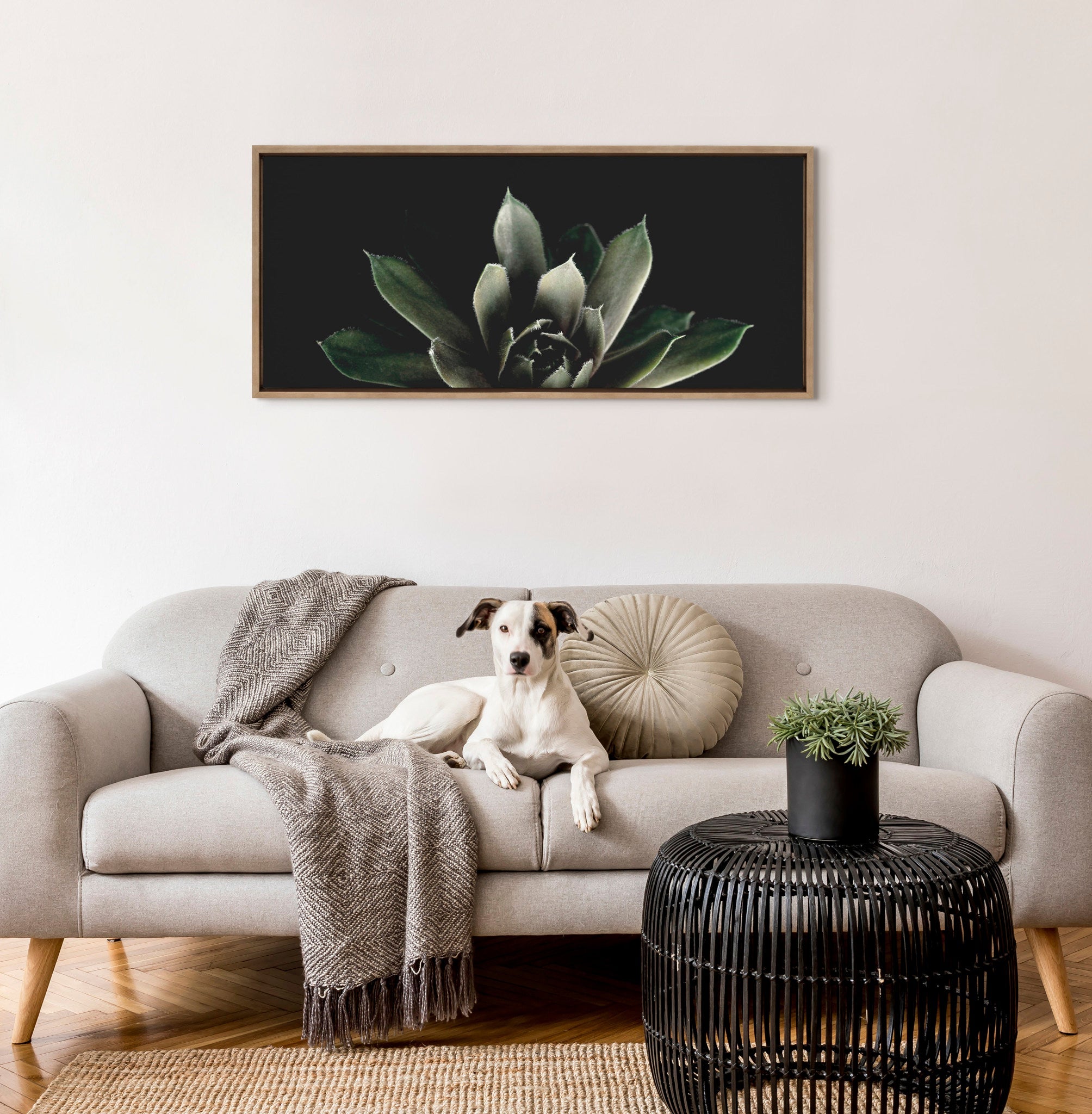 Sylvie Salutation Framed Canvas by Emiko and Mark Franzen of F2Images