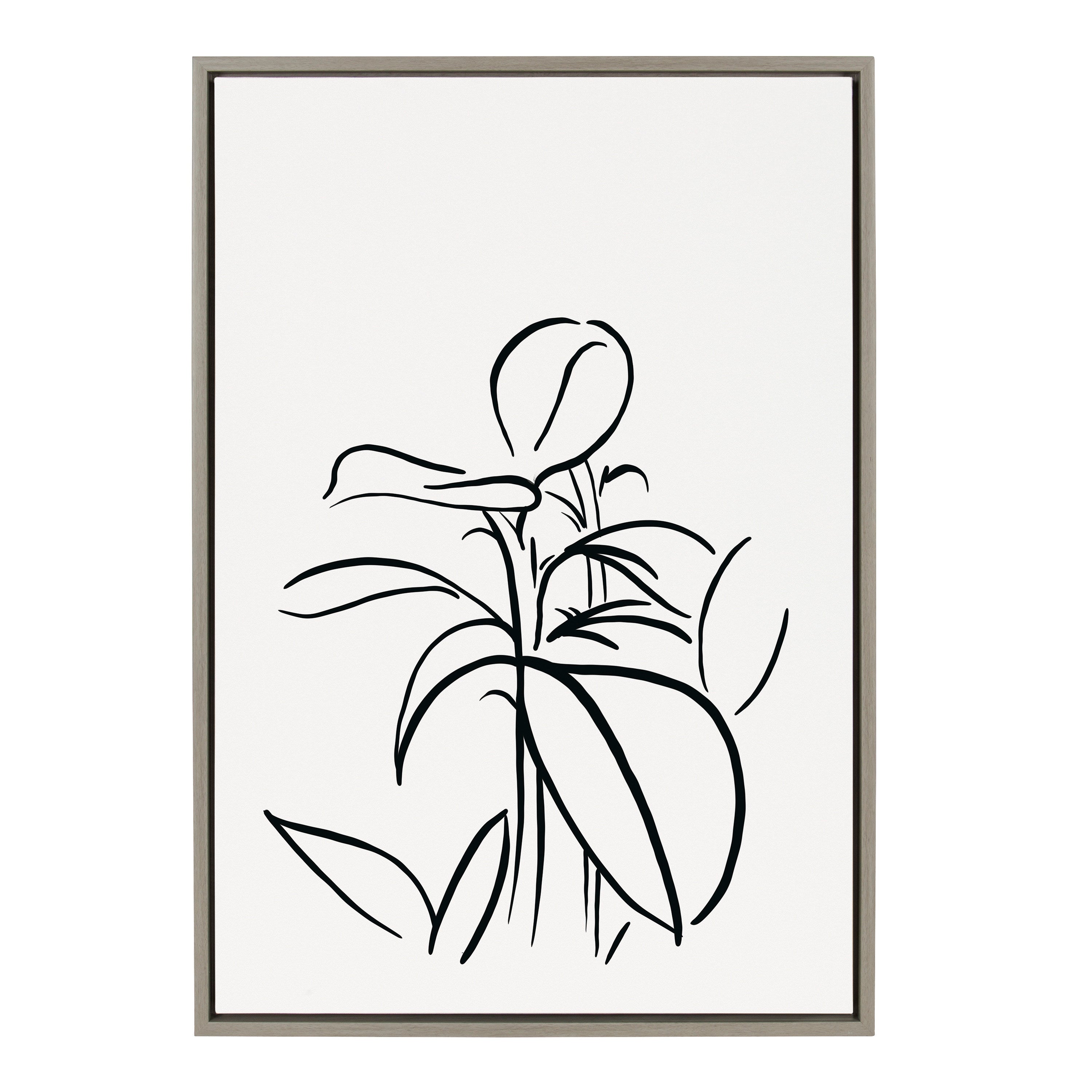 Sylvie Botanical Sketch Print No 1 Framed Canvas by The Creative Bunch by kateandlaurel - product image 19 for Resin Society