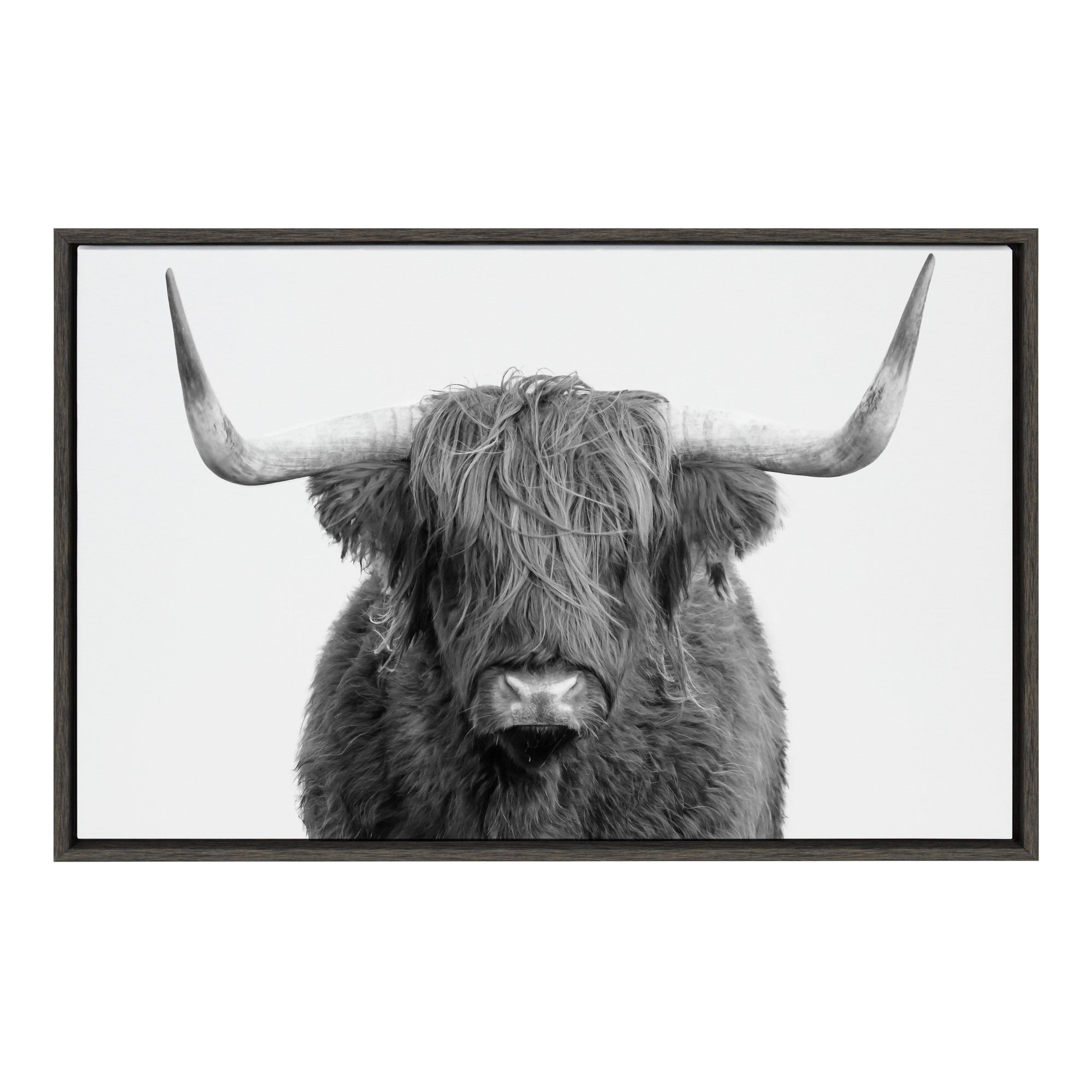 Sylvie Highland Cow Portrait Framed Canvas by Amy Peterson Art Studio by kateandlaurel - main product image for Resin Society