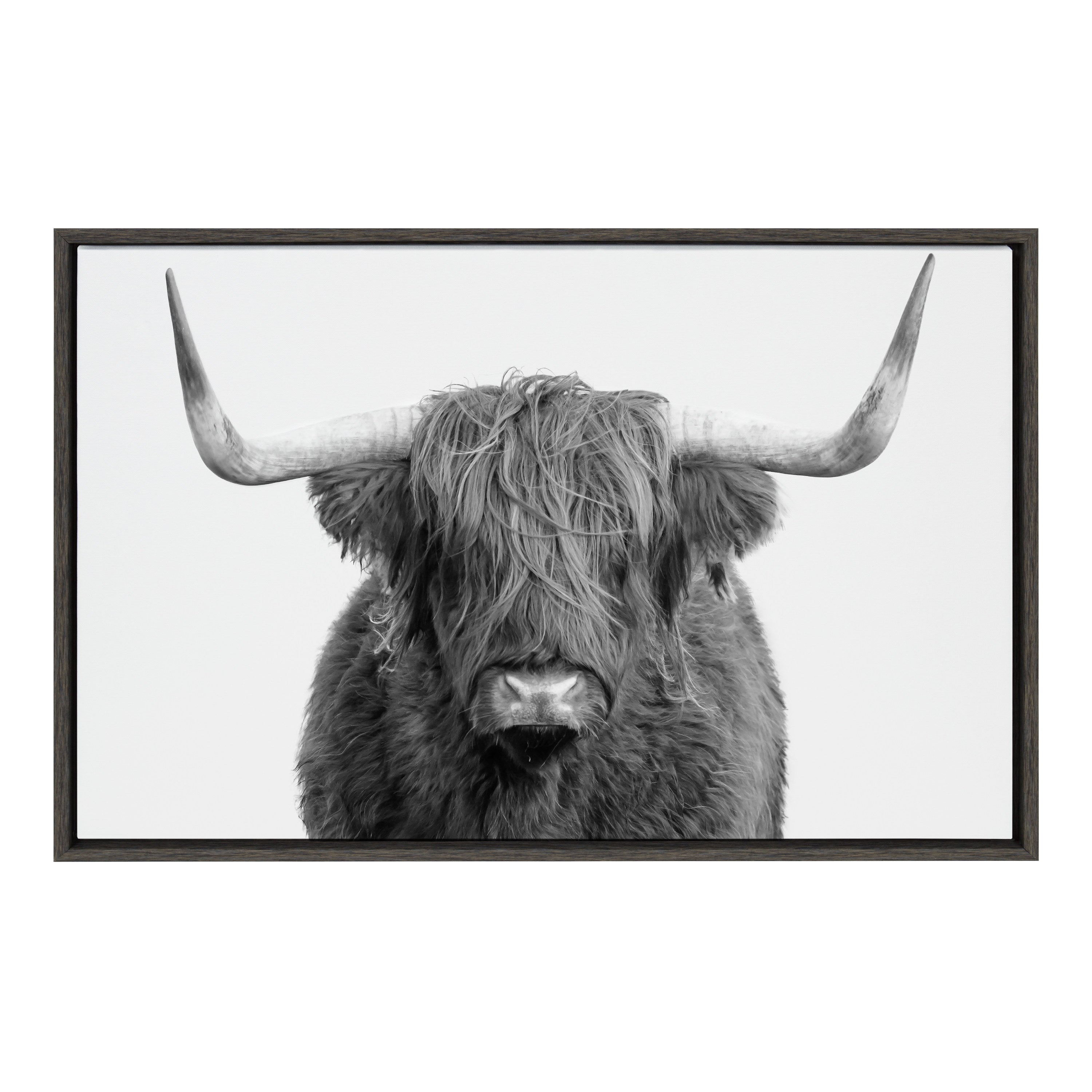 Sylvie Highland Cow Portrait Framed Canvas by Amy Peterson Art Studio by kateandlaurel - main product image for Resin Society