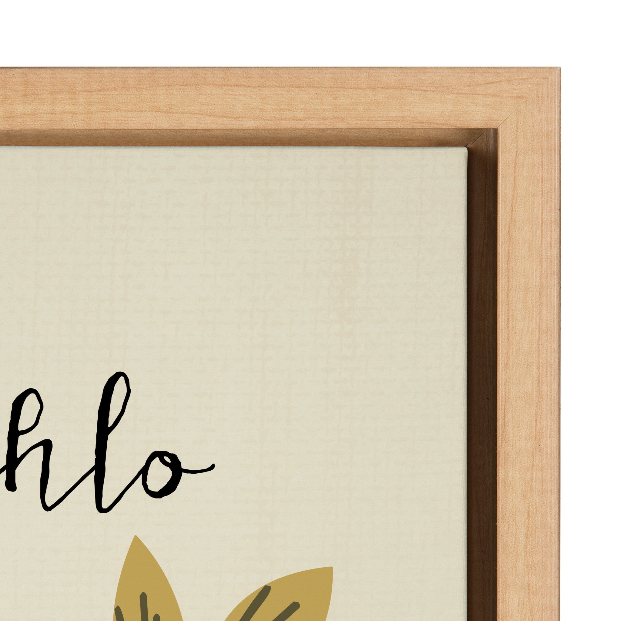 Sylvie Frida Cathlo Framed Canvas by Mia Charro by kateandlaurel - product image 3 for Resin Society
