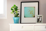 White dresser top with teal potted plant, framed photo of orange flowers on blue background, and small framed black-and-white portrait leaning against pale pink wall.