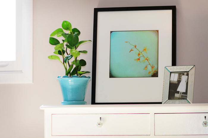 Baby Blue - Fine Art Photograph