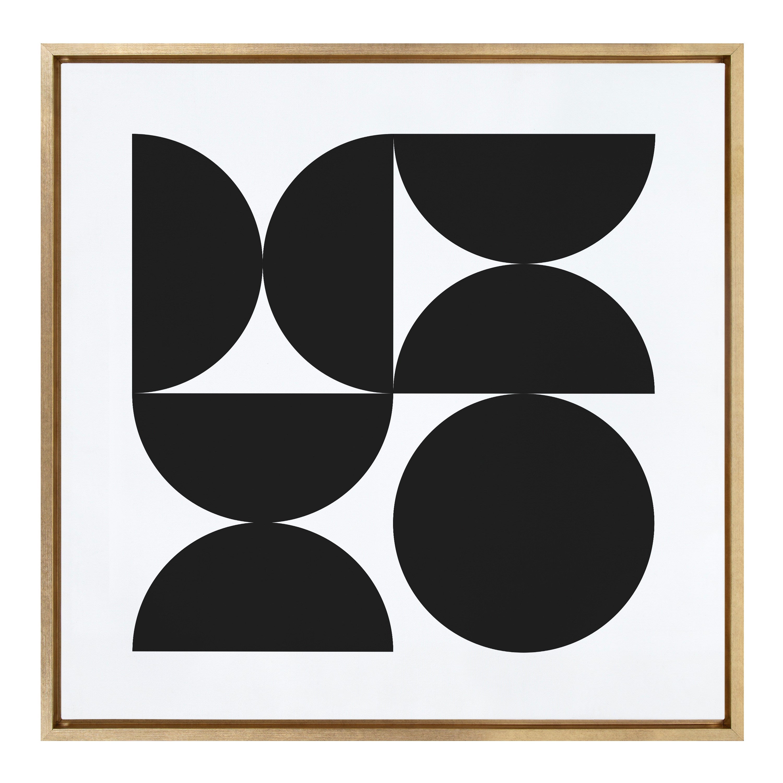 Sylvie Bold Vintage Geometric Black and White Framed Canvas by kateandlaurel - product image 2 for Resin Society