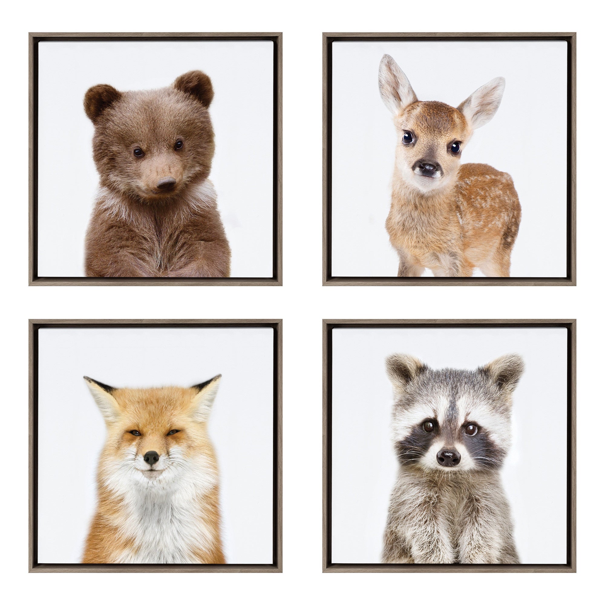 Sylvie Woodland Animal Framed Canvas Art Set by Amy Peterson by kateandlaurel - product image 10 for Resin Society
