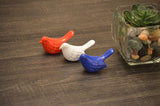 Three small ceramic bird figurines in red, white, and blue arranged in a row on a wooden surface next to a glass planter with a succulent and decorative stones.