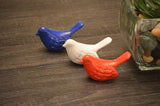 Three small ceramic bird figurines in blue, white, and red arranged in a row on a wooden surface next to a glass planter with a succulent.