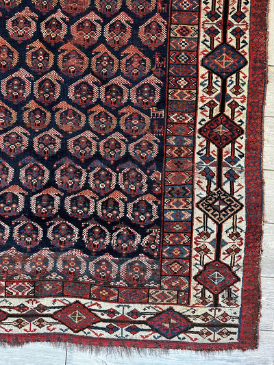 Antique All Over Paisley Kurdish Afshar Rug 4’5” x 8’11” by Rugistan - product image 8 for Resin Society