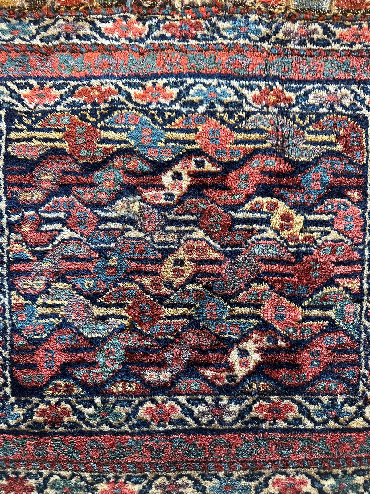 Small square Kurdish rug featuring rows of stylized birds in red, blue, and cream on a dark background with intricate floral border in reds and blues.