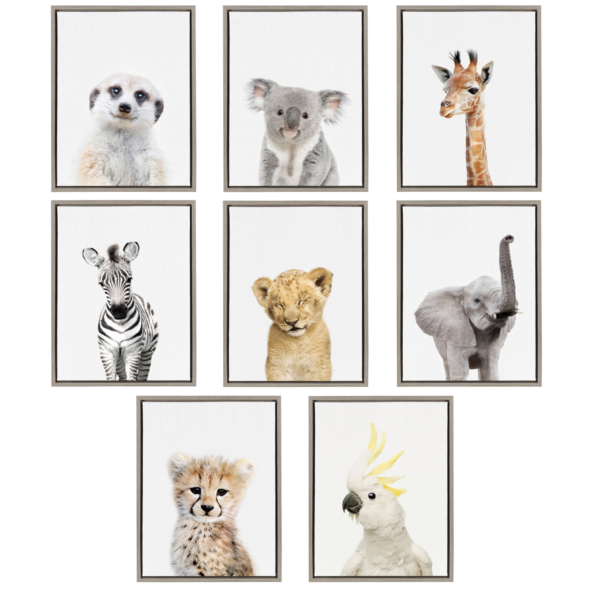 Sylvie Koala Framed Canvas by Amy Peterson Art Studio by kateandlaurel - product image 6 for Resin Society