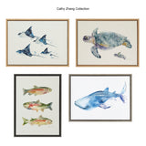 Sylvie Eagle Spotted Ray Family Framed Canvas by Cathy Zhang by kateandlaurel - product image 6 for Resin Society