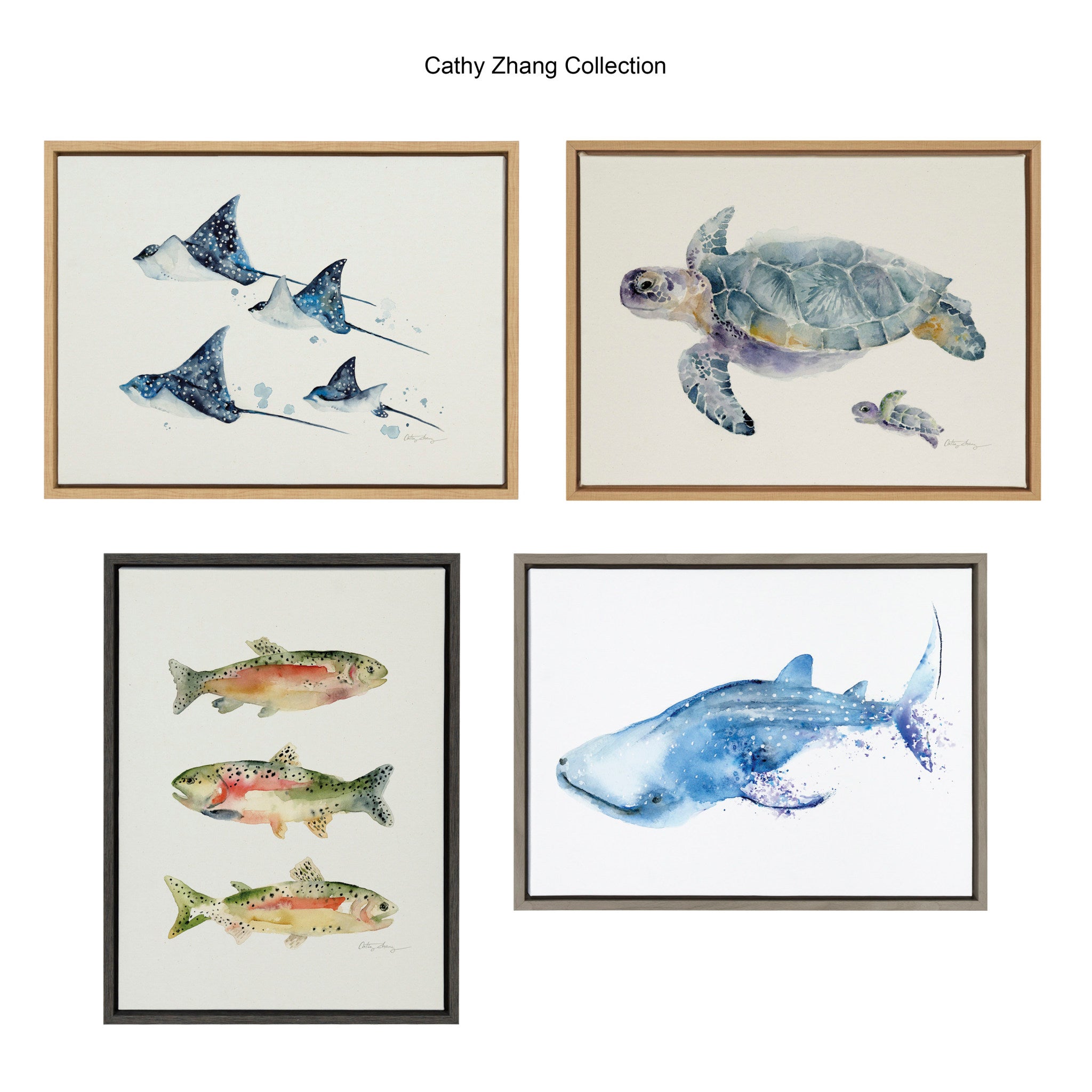Sylvie Eagle Spotted Ray Family Framed Canvas by Cathy Zhang by kateandlaurel - product image 6 for Resin Society
