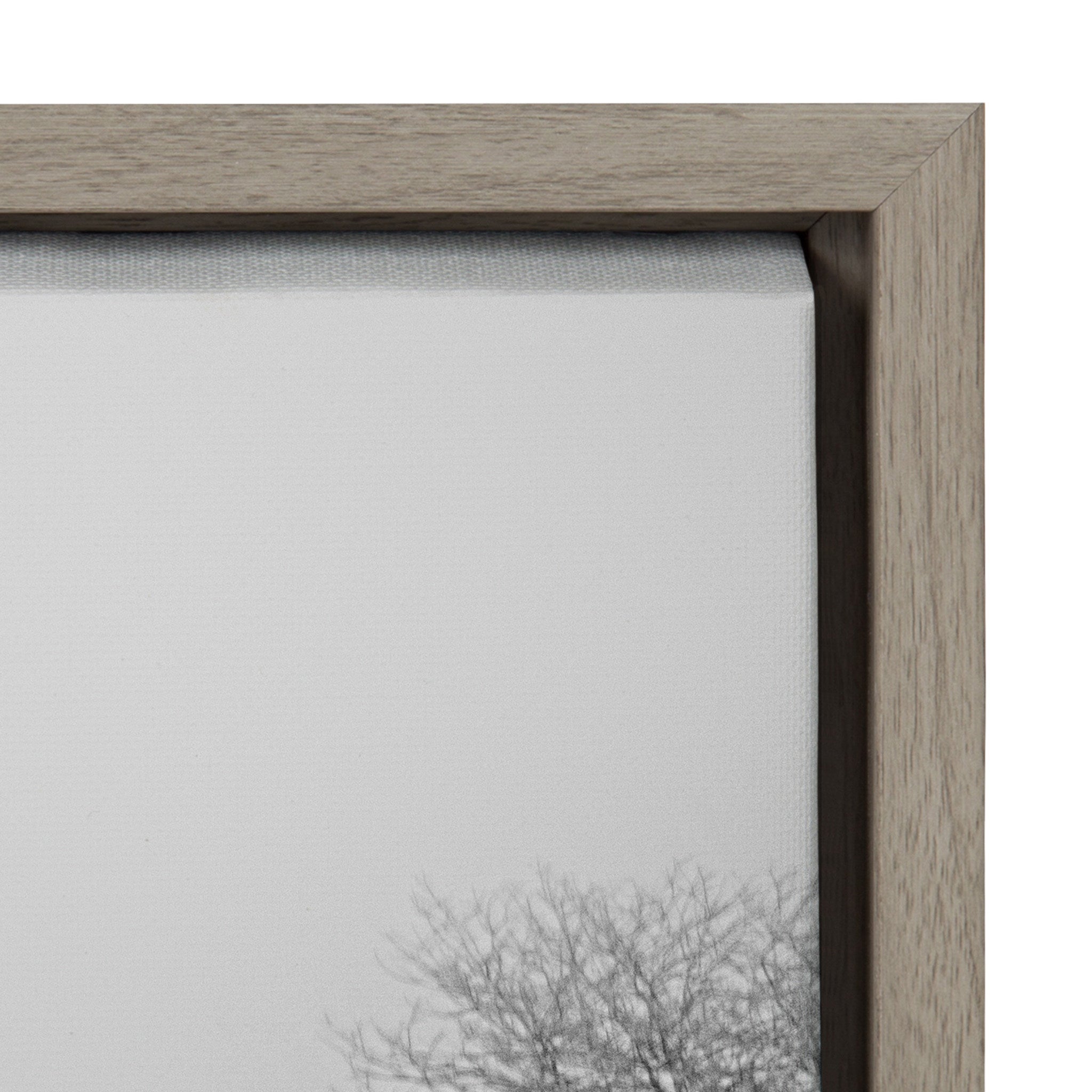 Sylvie Black and White Snow Day Framed Canvas by kateandlaurel - product image 3 for Resin Society