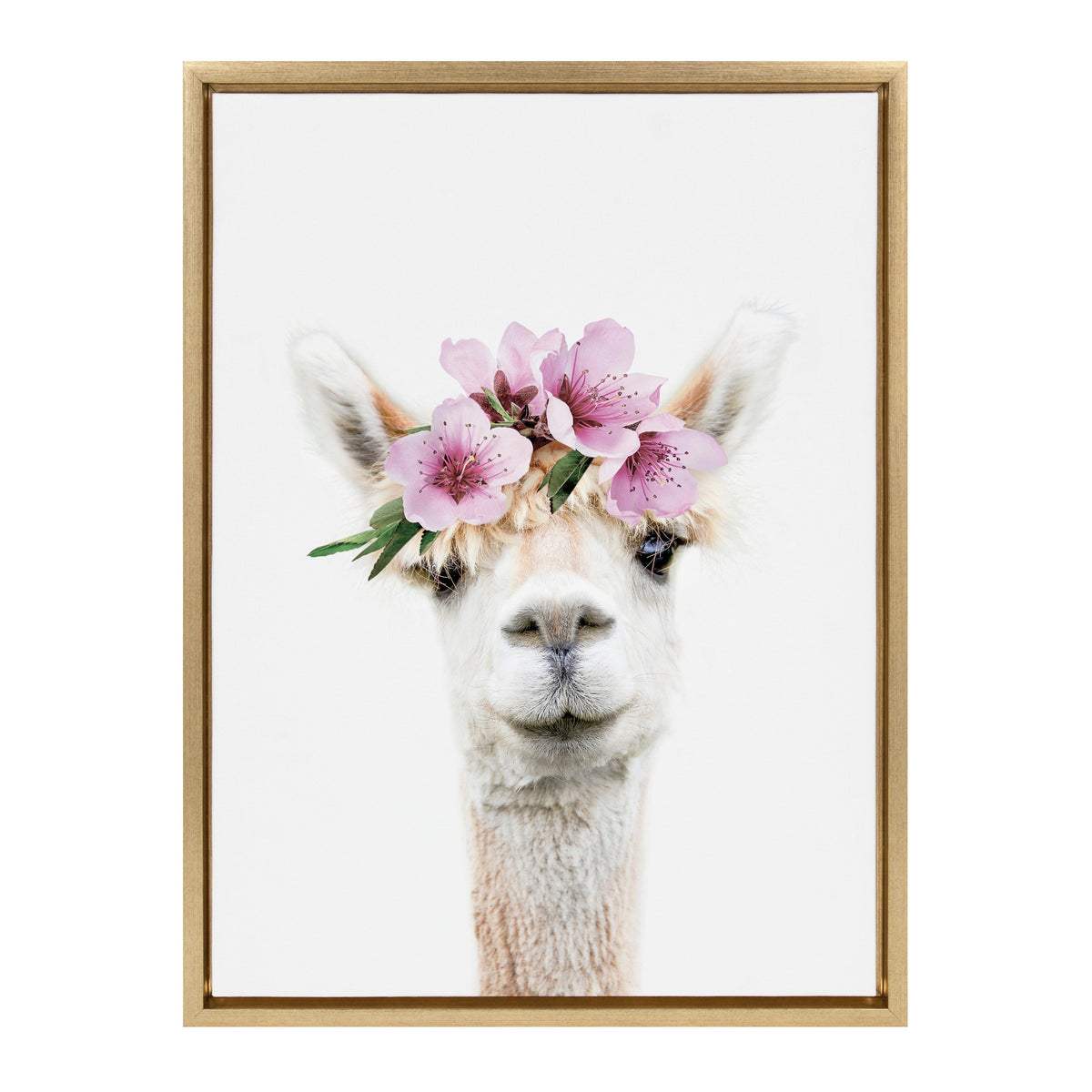 Portrait of a white alpaca centered on a white background wearing a pink flower crown with green leaves, framed in light wood.
