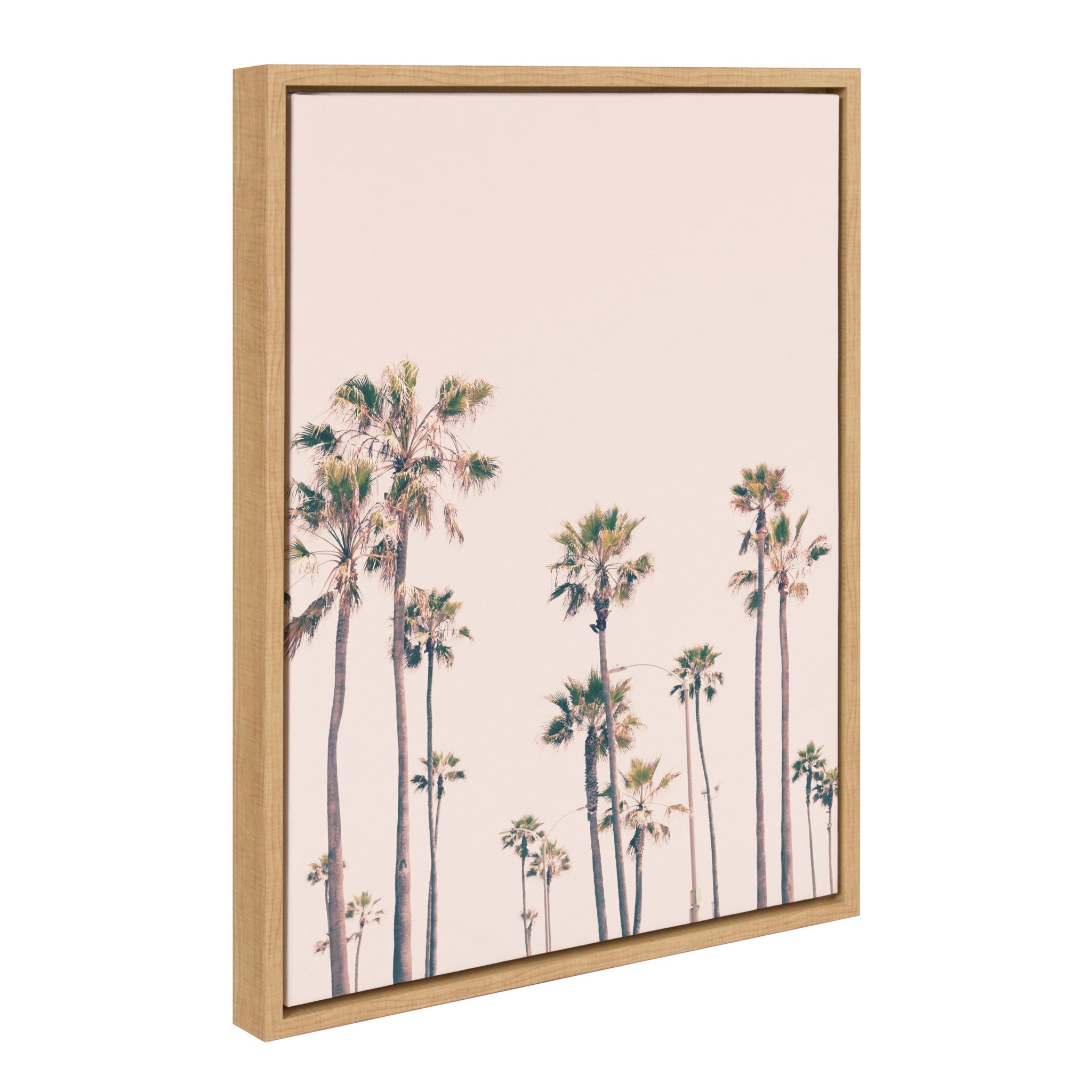 Sylvie Pink Palm Tree Paradise Framed Canvas by kateandlaurel - main product image for Resin Society