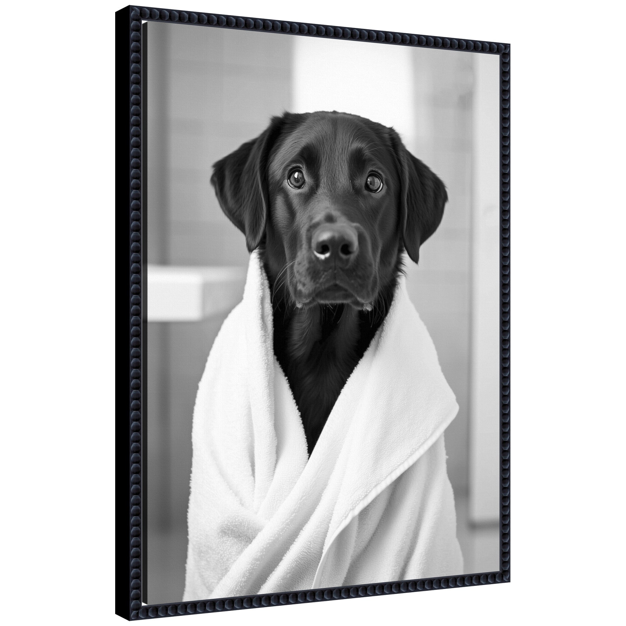 Sylvie Black Lab framed canvas art in black and white with modern polystyrene frame