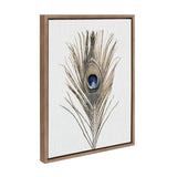 Single detailed peacock feather with blue, green, and gold tones on a white background, framed in a simple wooden frame with visible texture.