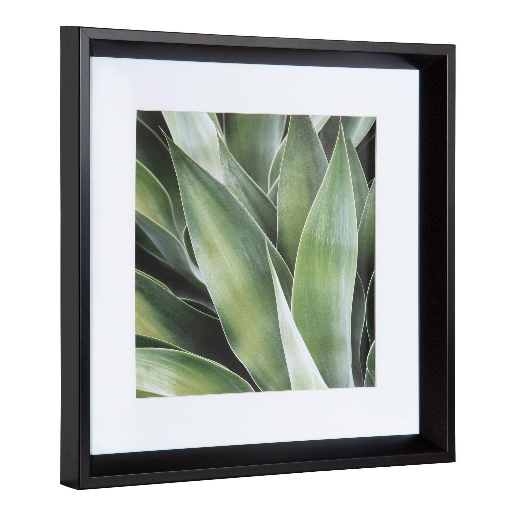 Calter Succulent Leaves Framed Print Art Set by Amy Peterson by kateandlaurel - product image 3 for Resin Society