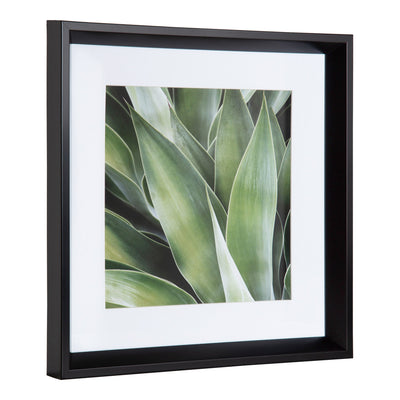 Calter Succulent Leaves Framed Print Art Set by Amy Peterson by kateandlaurel - product image 3 for Resin Society