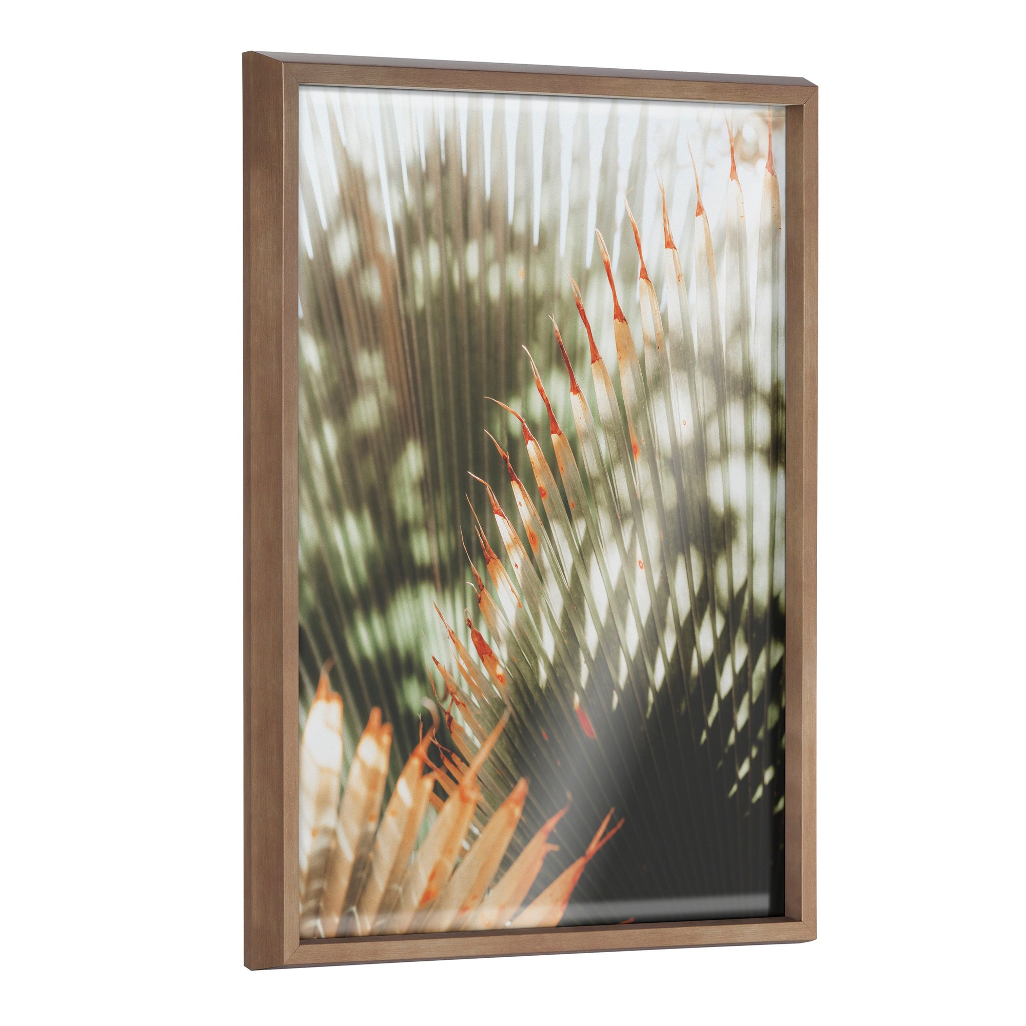 Blake Yellow Tipped Fern Framed Printed Glass by Alicia Abla by kateandlaurel - main product image for Resin Society