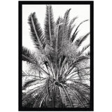 Black and white framed wall art print depicting a detailed close-up of a palm tree's large, radiating fronds against a pale background.
