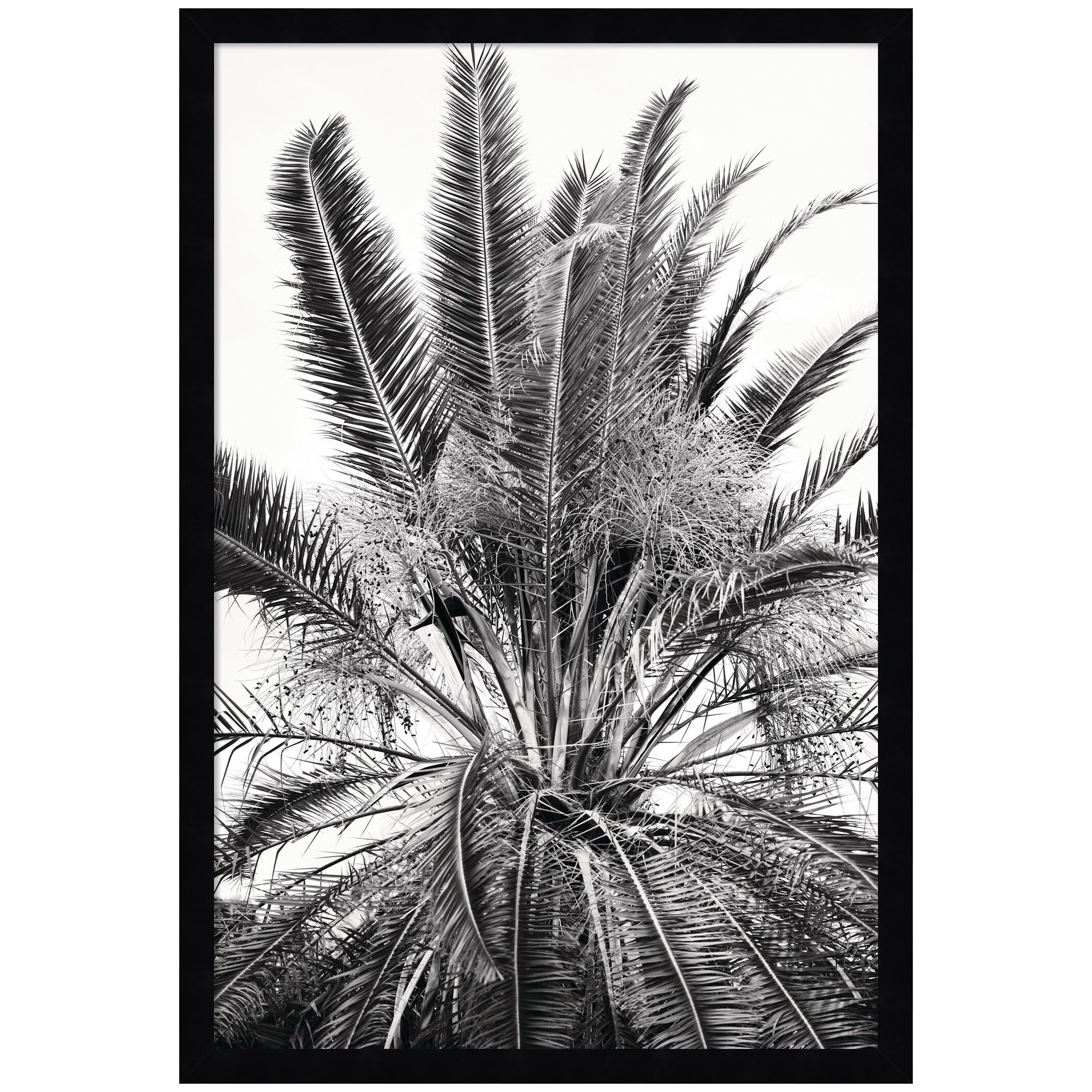 No 15 by Alicia Bock Framed Wall Art Print