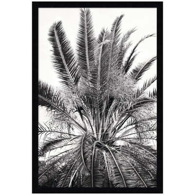 No 15 by Alicia Bock Framed Wall Art Print
