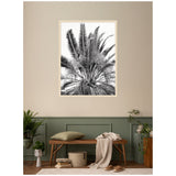 Black and white framed print of tall palm leaves on a beige wall above a wooden bench with green pillow, beige blanket, and surrounding indoor plants.