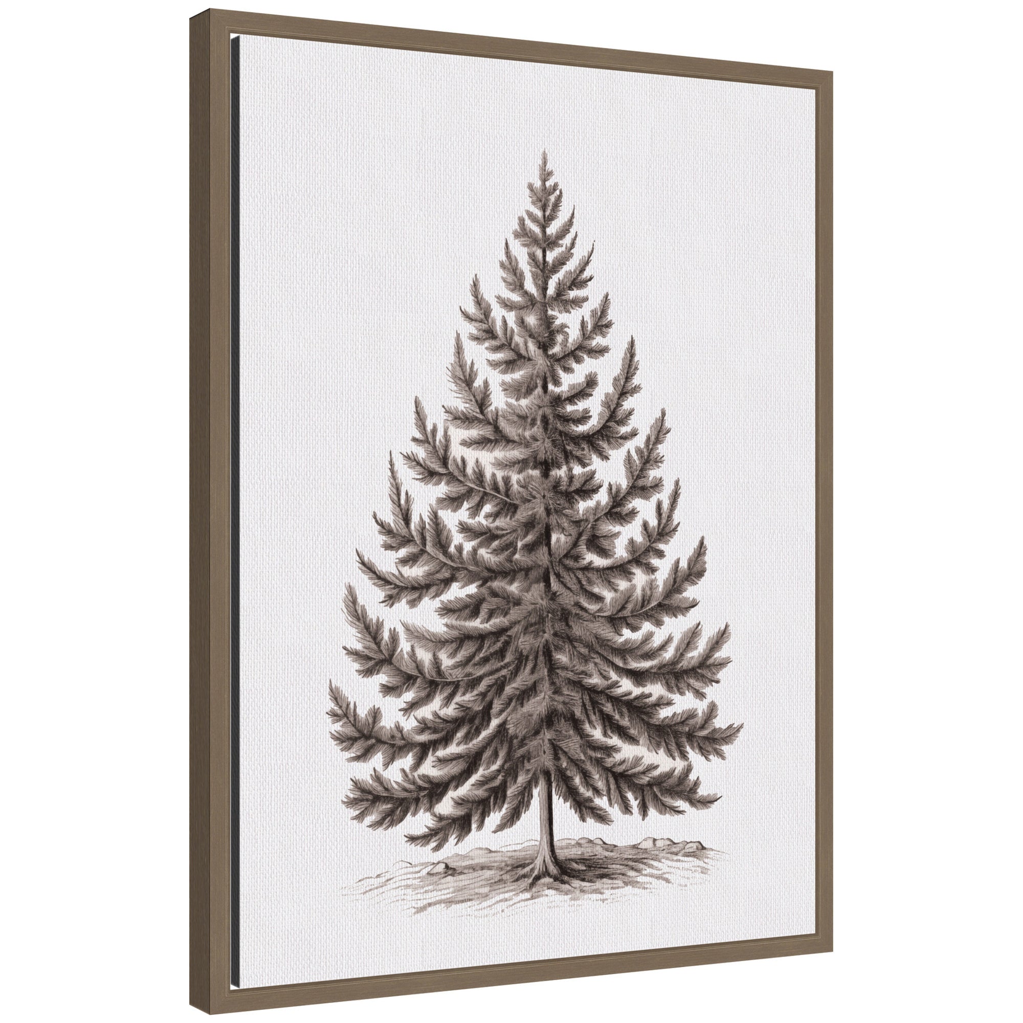 Monochrome vintage illustration of an evergreen fir tree framed in modern moulding