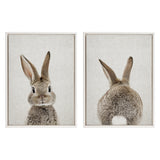 Two framed canvas prints of a brown bunny with one showing a front-facing portrait with upright ears and the other its back with ears standing tall and a white tail visible.