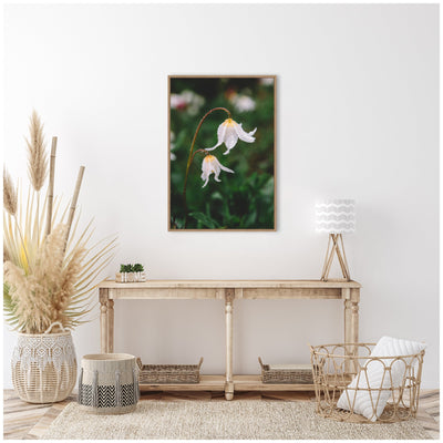 Sylvie Delicate White Floral Petals Framed Canvas by Patricia Hasz