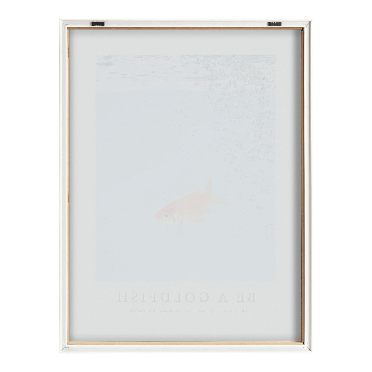 Blake Be A Goldfish Framed Printed Glass by The Creative Bunch Studio by kateandlaurel - product image 4 for Resin Society