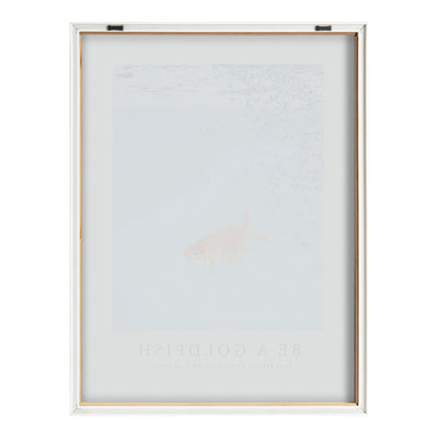 Blake Be A Goldfish Framed Printed Glass by The Creative Bunch Studio by kateandlaurel - product image 4 for Resin Society