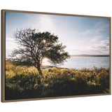 Sunset light filtering through a lone tree overlooking a grassy coastal landscape with calm water and distant land under a partly cloudy sky, framed in wood.