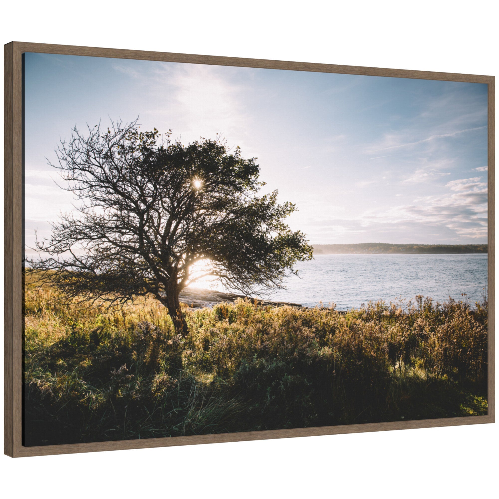 Sylvie Coastal Serene Sunset Tree Landscape Framed Canvas by Patricia Hasz