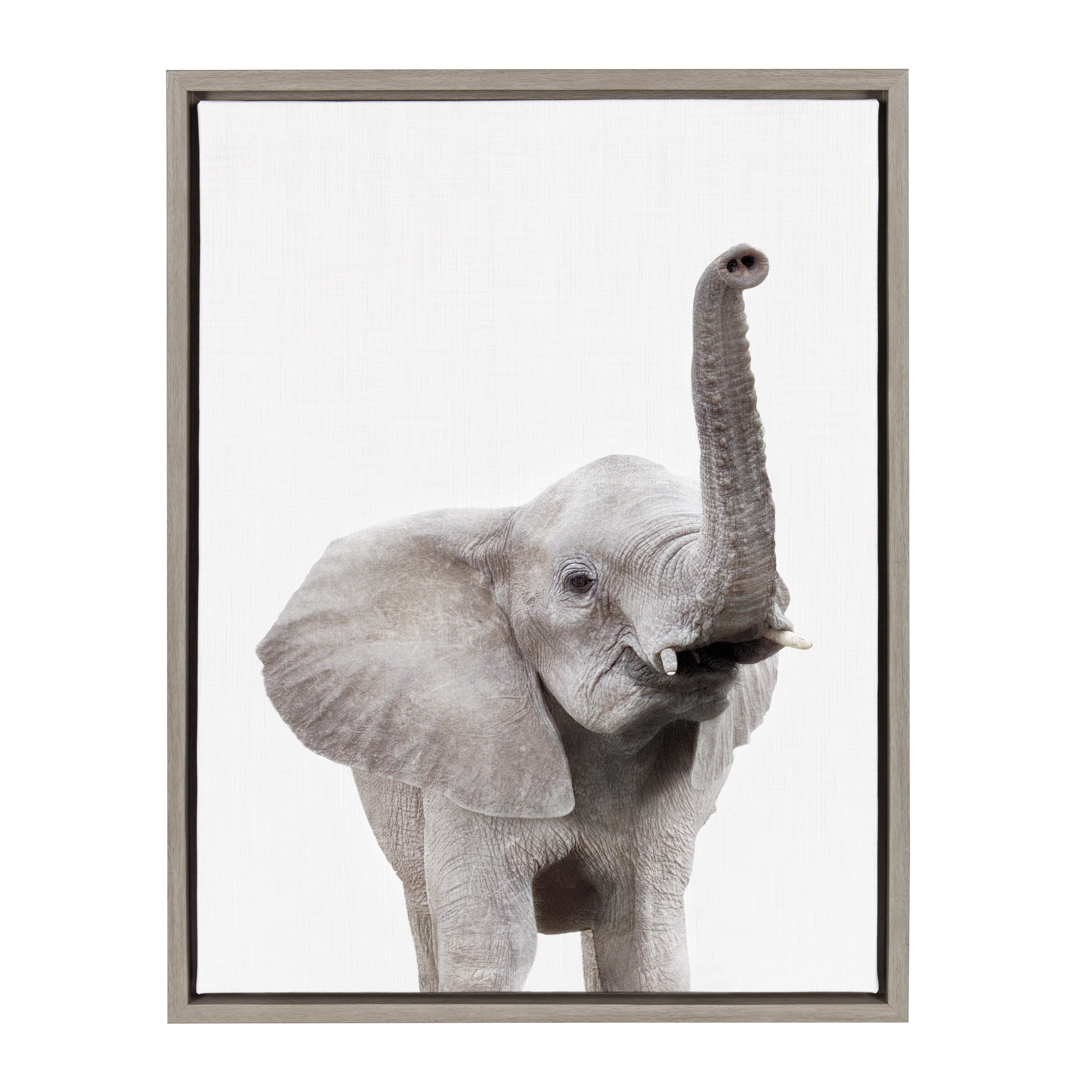 Sylvie Young Elephant Framed Canvas by Amy Peterson by kateandlaurel - product image 11 for Resin Society