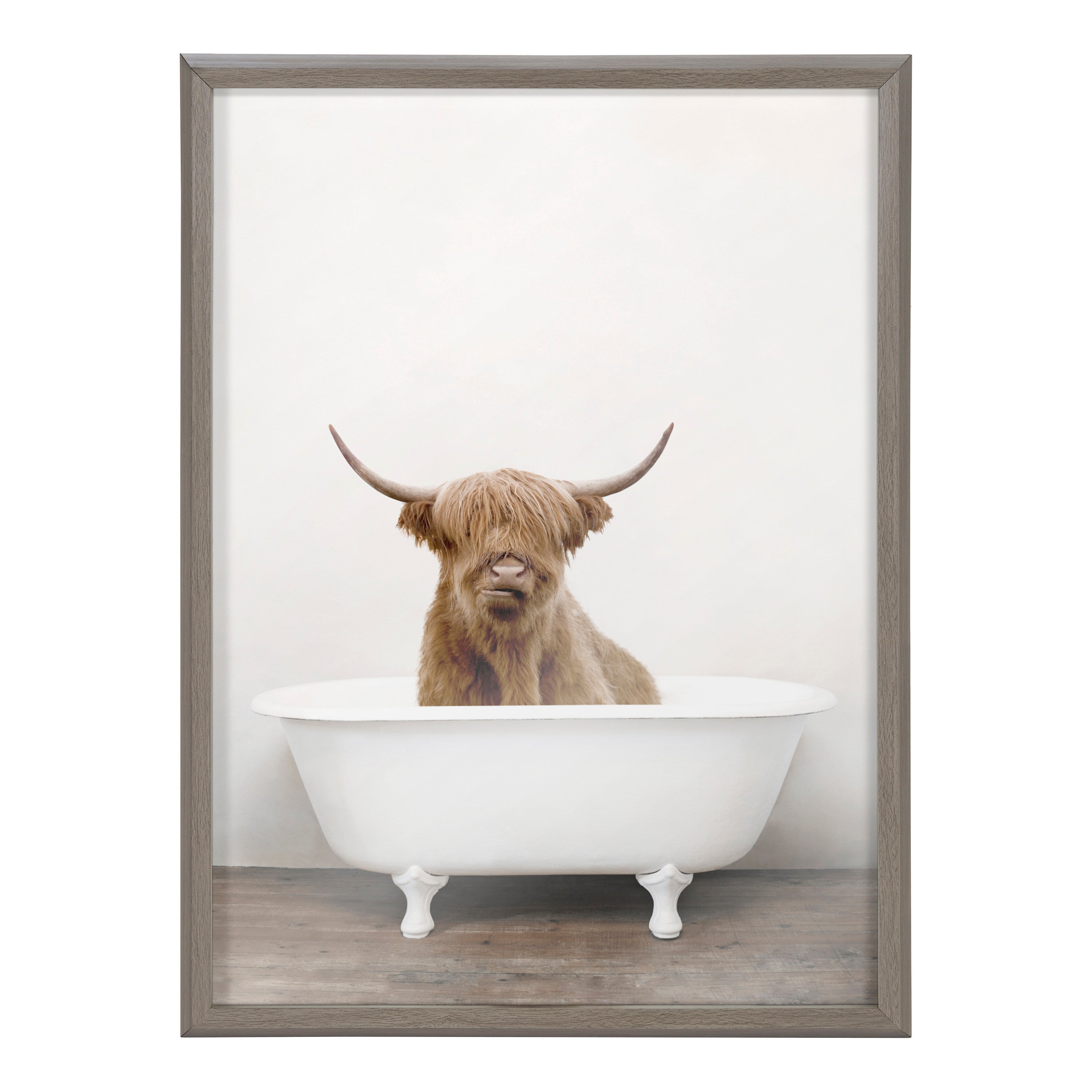 Blake Highland Cow in Tub Color Framed Printed Glass